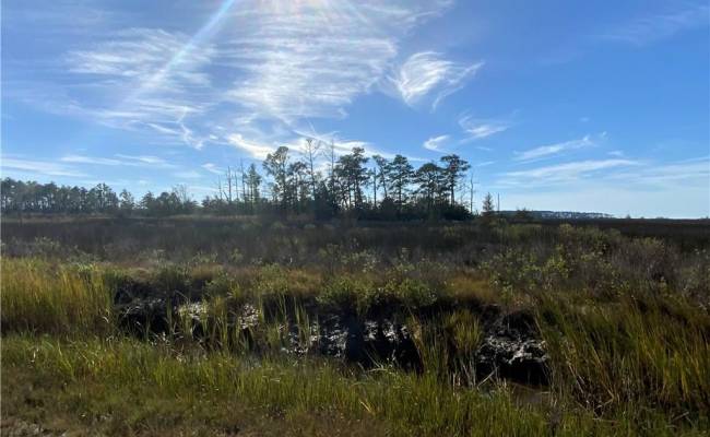 128ac Ann's Cove Road, Accomack County, VA 23421