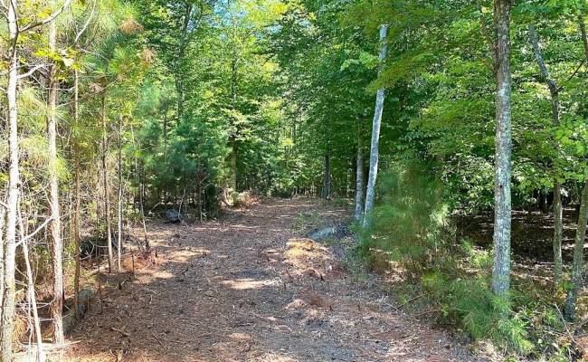 112ac Cattail Road, Accomack County, VA 23409