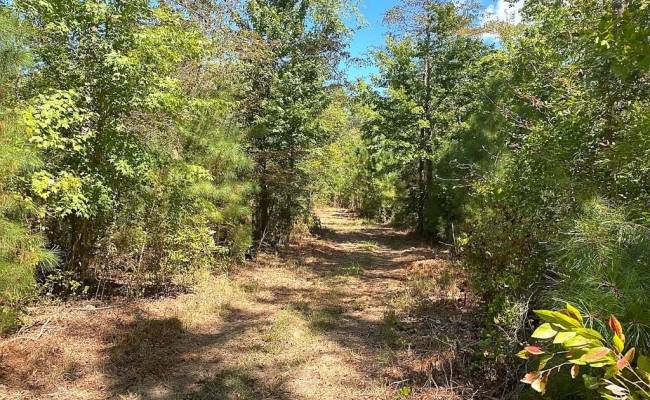 112ac Cattail Road, Accomack County, VA 23409