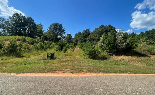 LOT 15 Berkely Avenue, Mecklenburg County, VA 23927