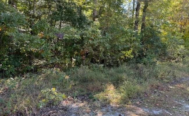 2.70AC Cedar Trail, Gloucester County, VA 23061