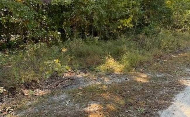 2.70AC Cedar Trail, Gloucester County, VA 23061