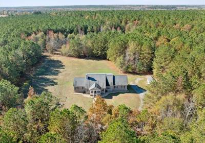 17299 Old Forty Road, Sussex County, VA 23890