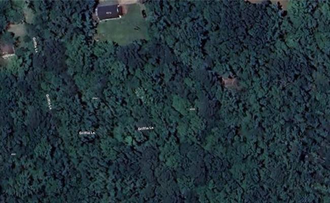 0.39Ac Griffin Lane, Suffolk, VA 23435