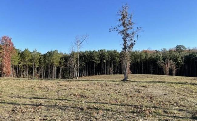 9950 Fire Tower Road, James City County, VA 23168