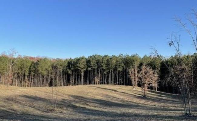 9950 Fire Tower Road, James City County, VA 23168