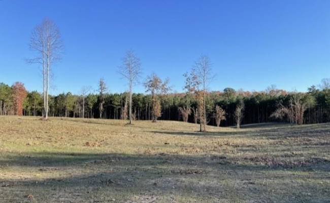 9950 Fire Tower Road, James City County, VA 23168