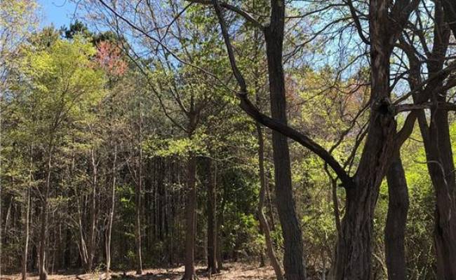 35+ac Kings Creek Road, Gloucester County, VA 23072