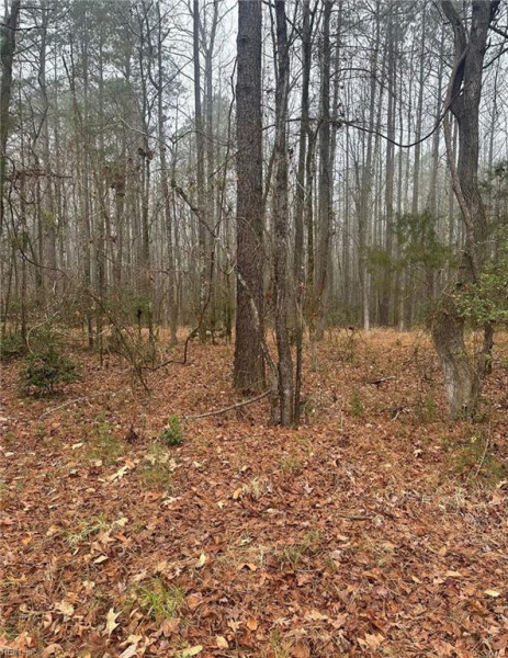 Photo 1 of 2 land for sale in New Kent County virginia