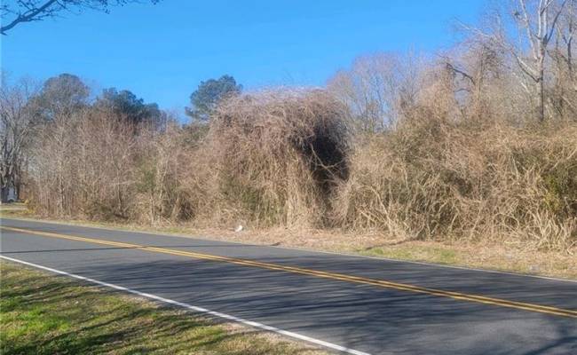 3 + ac Chincoteague Road, Accomack County, VA 23415