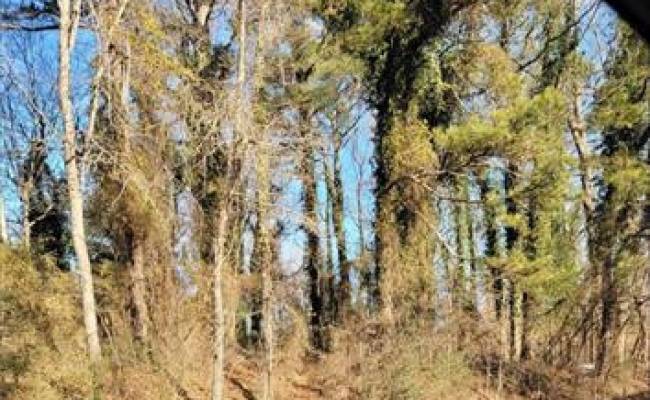 950 Portsmouth Boulevard, Suffolk, VA 23434