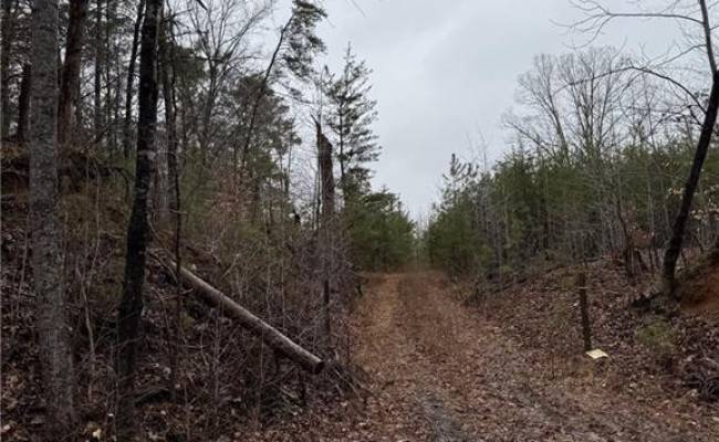 6+AC Cheaneys Bridge Road, Essex County, VA 22454