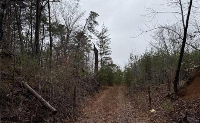 6+AC Cheaneys Bridge Road, Essex County, VA 22454