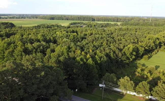 3233 Battlefield Boulevard, Chesapeake, VA 23322