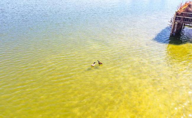 321 & 901 Bay Tree Beach Road, York County, VA 23696