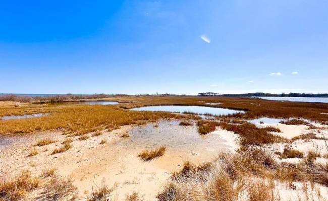 321 & 901 Bay Tree Beach Road, York County, VA 23696