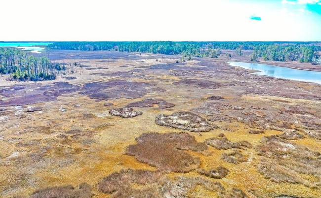 321 & 901 Bay Tree Beach Road, York County, VA 23696