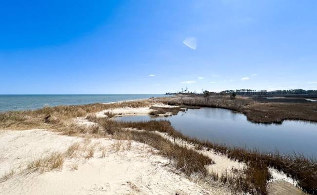 321 & 901 Bay Tree Beach Road, York County, VA 23696