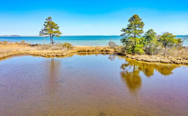 321 & 901 Bay Tree Beach Road, York County, VA 23696