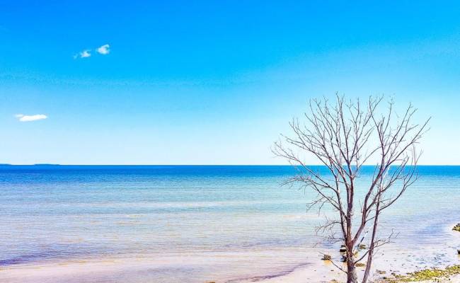 321 & 901 Bay Tree Beach Road, York County, VA 23696