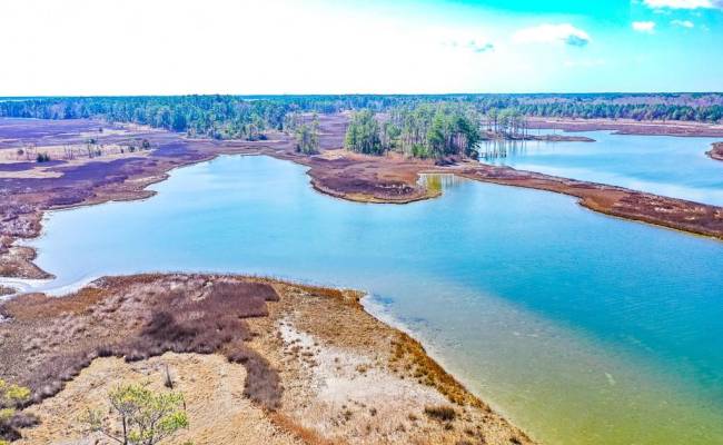321 & 901 Bay Tree Beach Road, York County, VA 23696