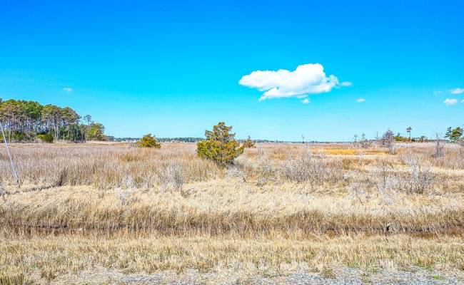 321 & 901 Bay Tree Beach Road, York County, VA 23696