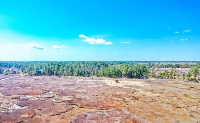 321 & 901 Bay Tree Beach Road, York County, VA 23696