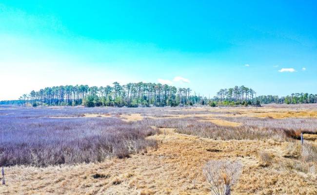 321 & 901 Bay Tree Beach Road, York County, VA 23696