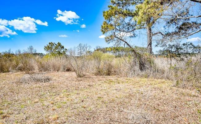 321 & 901 Bay Tree Beach Road, York County, VA 23696