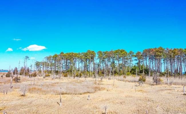 321 & 901 Bay Tree Beach Road, York County, VA 23696