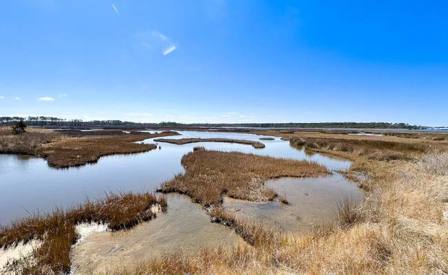 321 & 901 Bay Tree Beach Road, York County, VA 23696