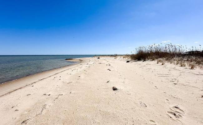 321 & 901 Bay Tree Beach Road, York County, VA 23696