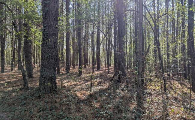 1+AC Silver Ridge Road, Middlesex County, VA 23169