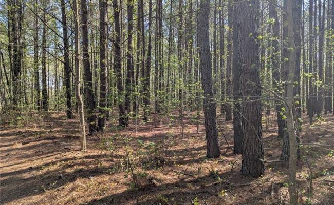 1+AC Silver Ridge Road, Middlesex County, VA 23169