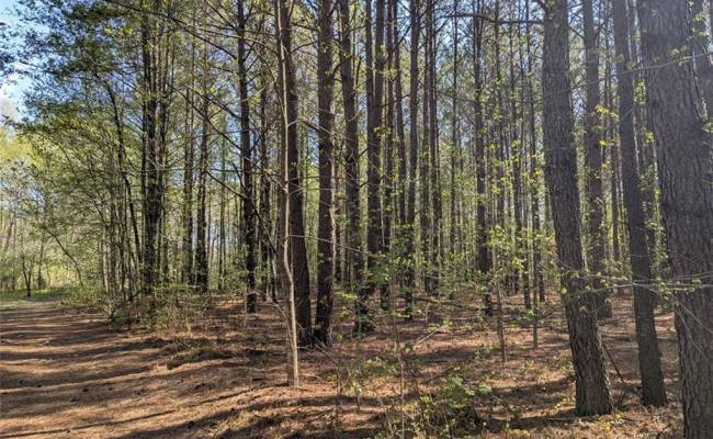 1+AC Silver Ridge Road, Middlesex County, VA 23169