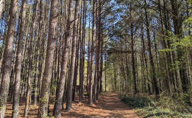 1+AC Silver Ridge Road, Middlesex County, VA 23169