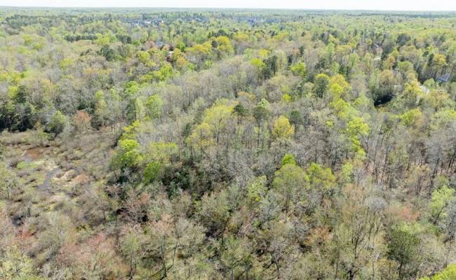 3352 Morning Mist Lane, James City County, VA 23168