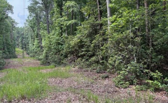 Lot 24 Rivers Knoll , Northumberland County, VA 22473