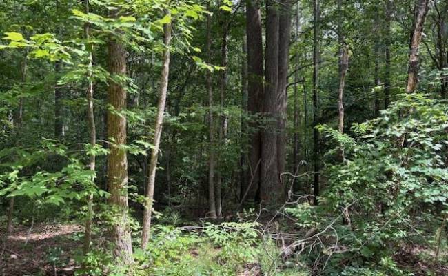 Lot 24 Rivers Knoll , Northumberland County, VA 22473