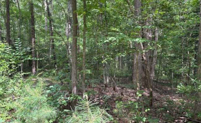 Lot 24 Rivers Knoll , Northumberland County, VA 22473