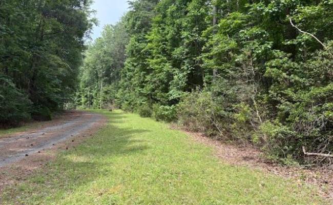 Lot 24 Rivers Knoll , Northumberland County, VA 22473