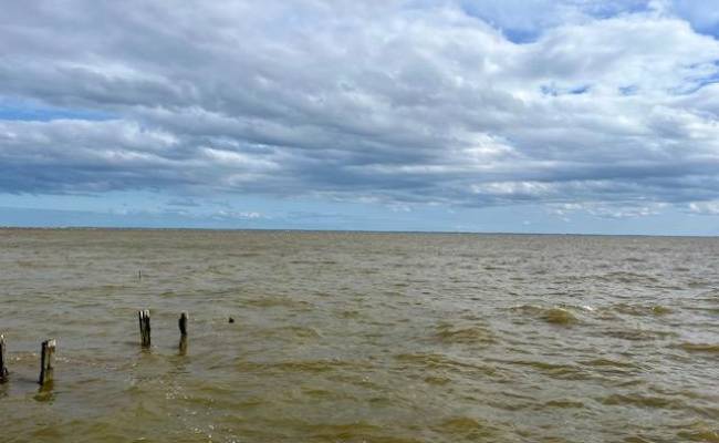 167 Webb Street, Perquimans County, NC 27944