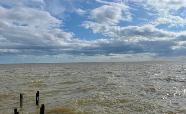 167 Webb Street, Perquimans County, NC 27944