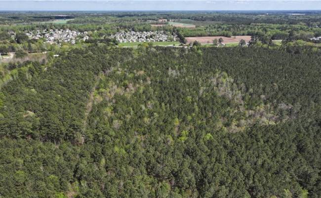 15+AC Courthouse Highway, Isle of Wight County, VA 23487
