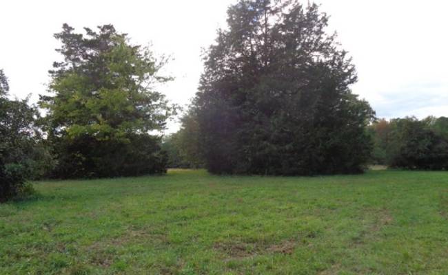 42-14 Chippokes Farm Road, Surry County, VA 23883