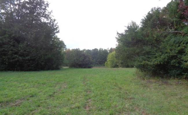 42-14 Chippokes Farm Road, Surry County, VA 23883