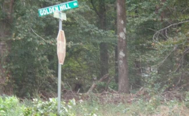 42-14 Chippokes Farm Road, Surry County, VA 23883