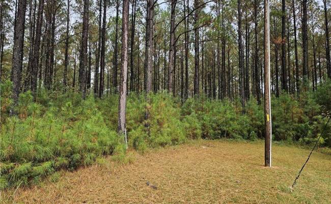 4858 Carsley Road, Surry County, VA 23890