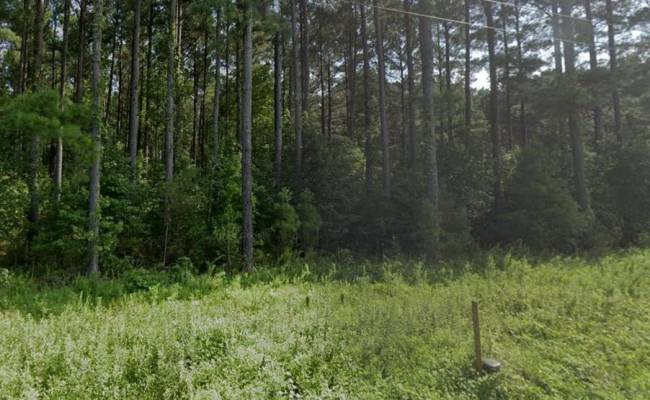 4858 Carsley Road, Surry County, VA 23890