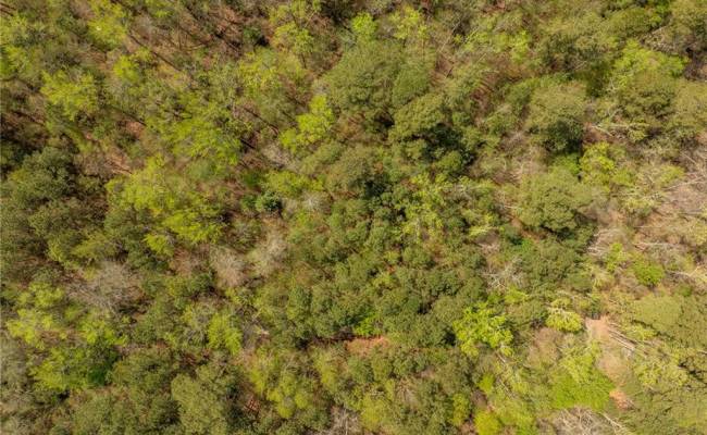20.5ac Sams Walk Road, Gloucester County, VA 23072
